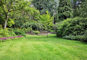Optimiser l'expérience du jardin à Bouillancy